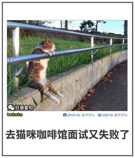 0588  中文网络风尚图片