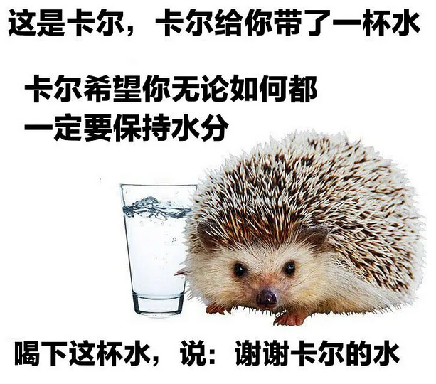 卡尔  中文网络风尚图片