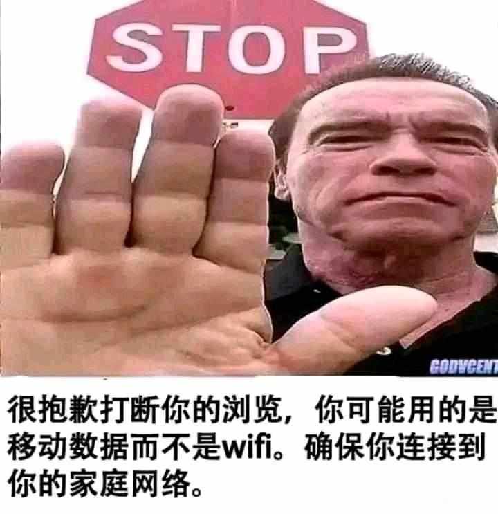 施瓦辛格WiFi  中文网络风尚图片
