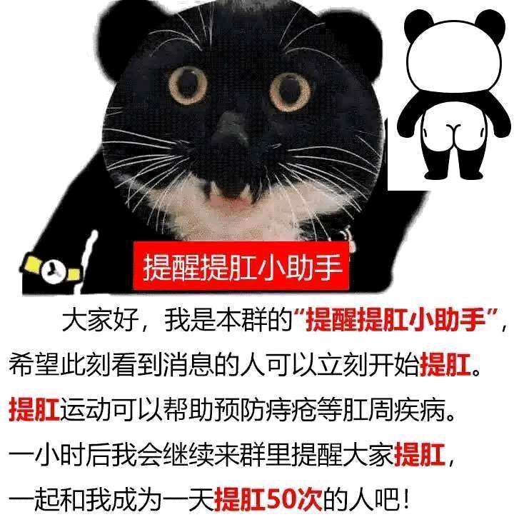 提肛小助手  中文网络风尚图片