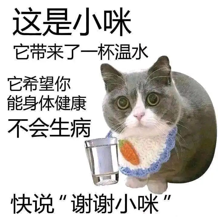 小咪  中文网络风尚图片
