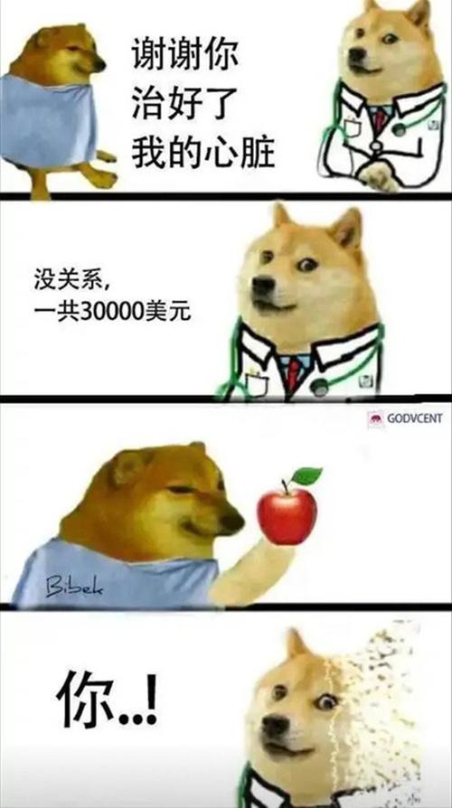 苹果 医生 中文网络风尚图片