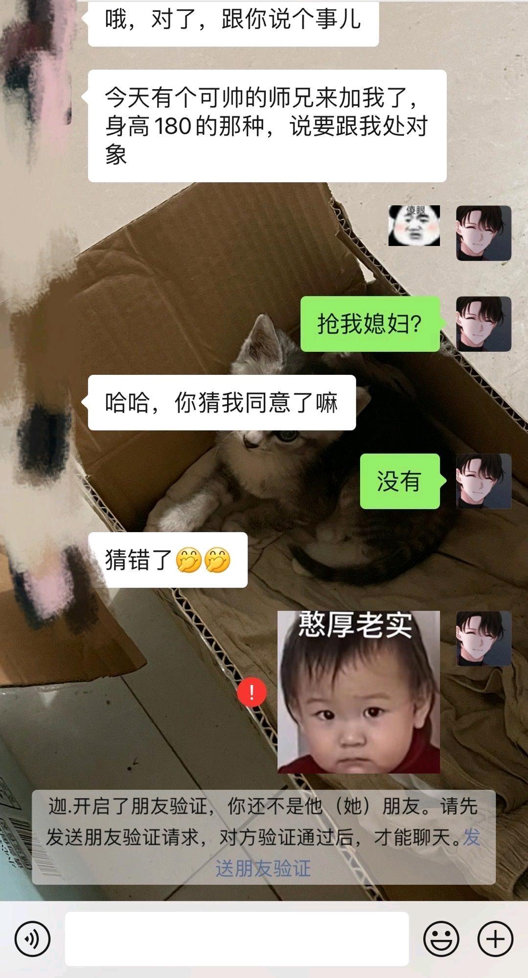 猜错了  中文网络风尚图片