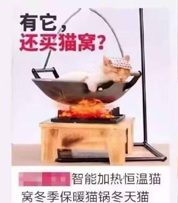 煲仔饭  中文网络风尚图片