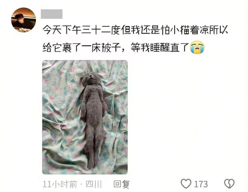 被子  中文网络风尚图片