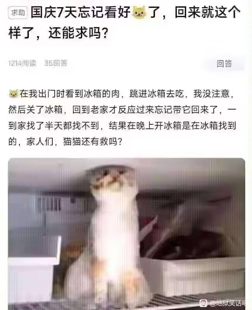 寒冰屏障  中文网络风尚图片