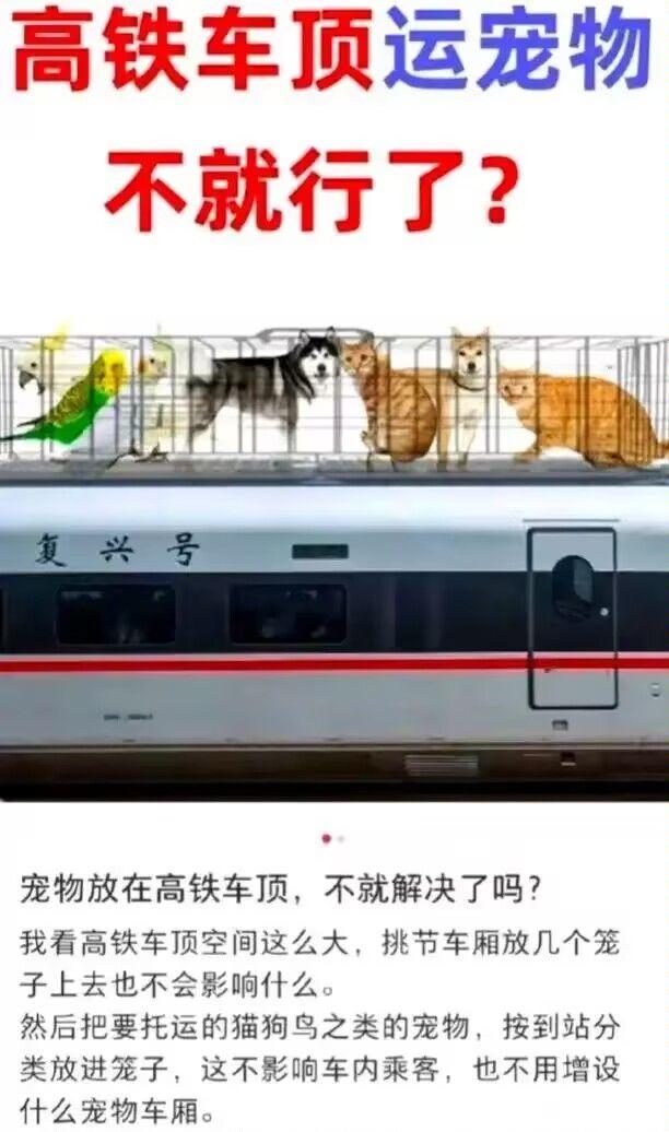 极限运动  中文网络风尚图片