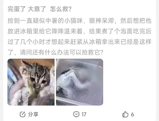 降温  中文网络风尚图片