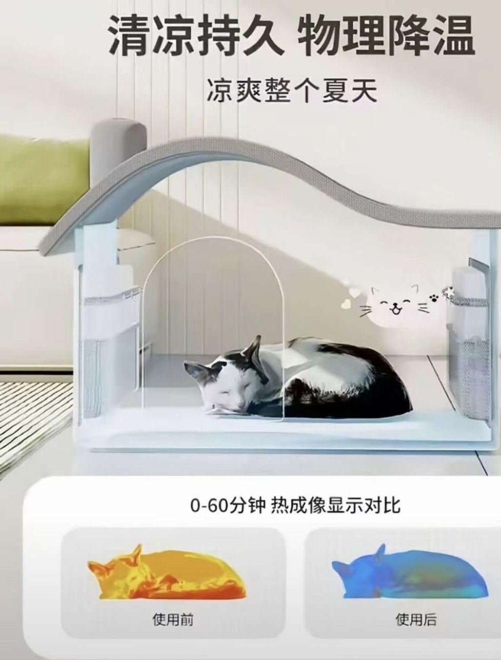 凉了  中文网络风尚图片
