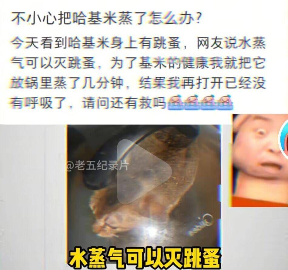 美食家  中文网络风尚图片