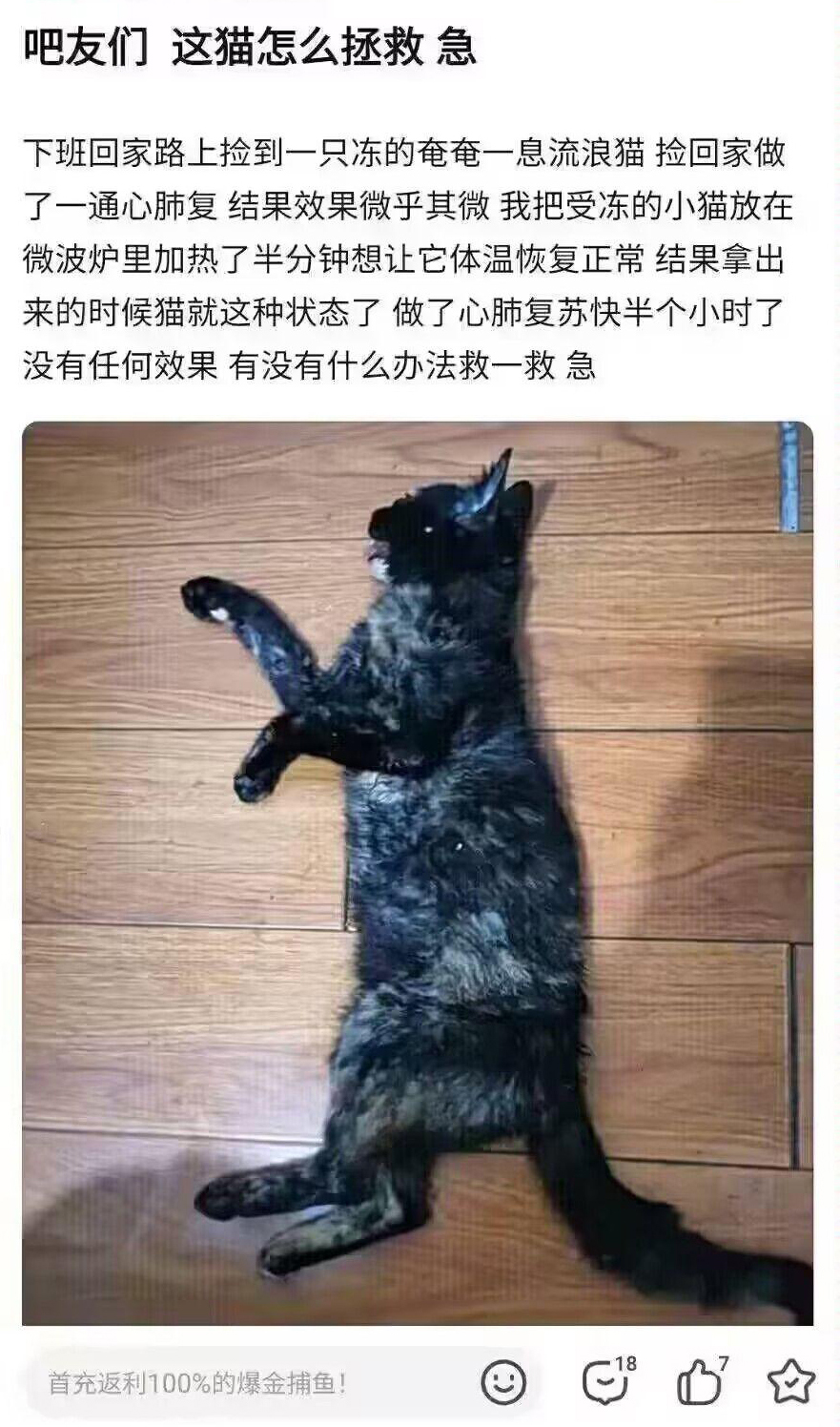 微波炉  中文网络风尚图片
