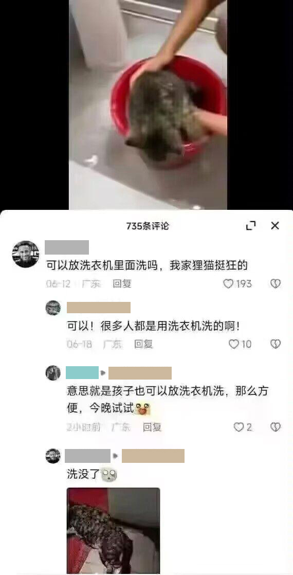 洗没了  中文网络风尚图片
