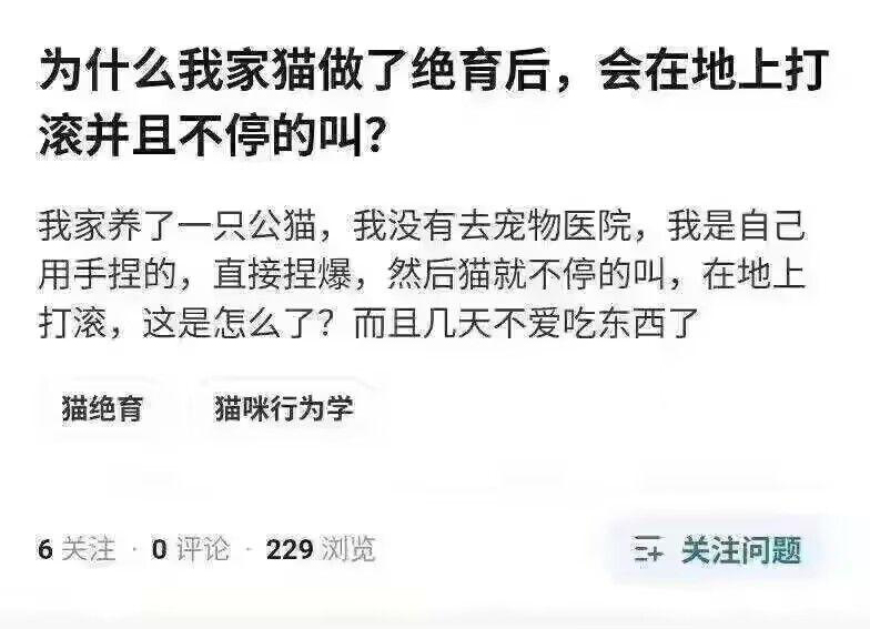 医者仁心  中文网络风尚图片