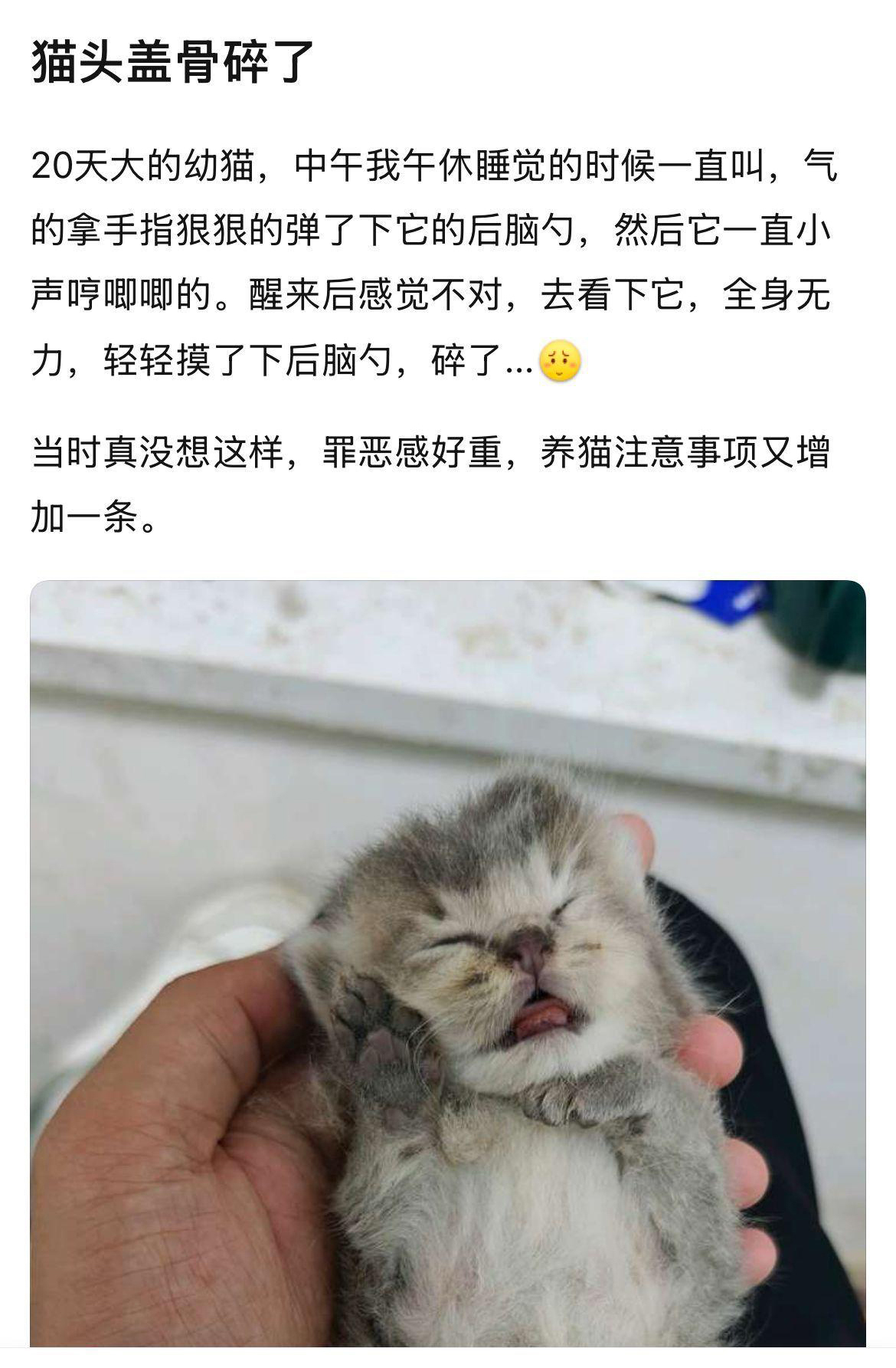 注意事项  中文网络风尚图片