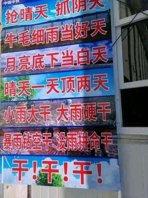 干干干  中文网络风尚图片