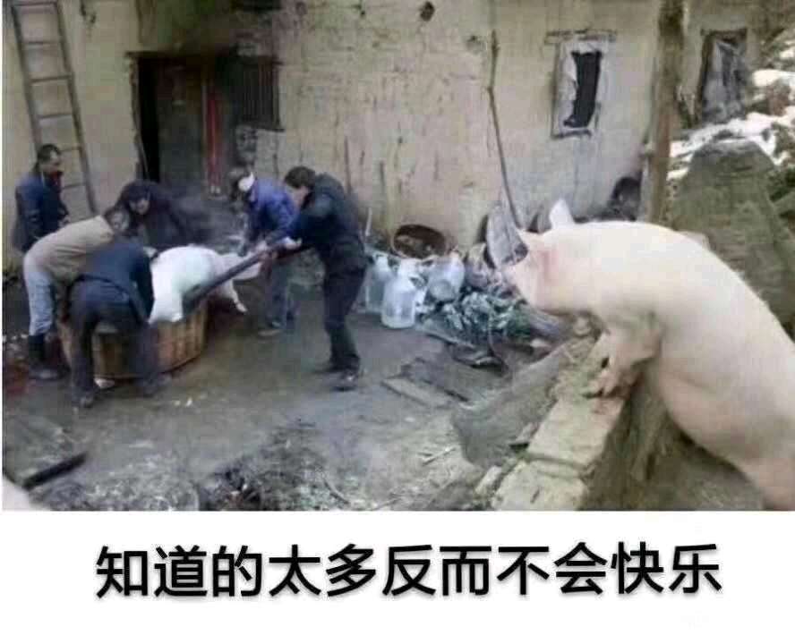 不快乐  中文网络风尚图片