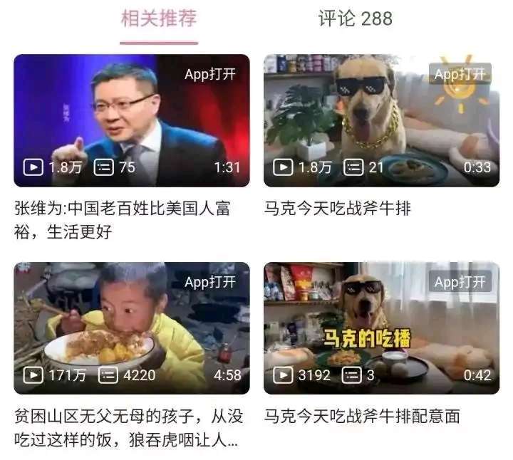 吃播  中文网络风尚图片