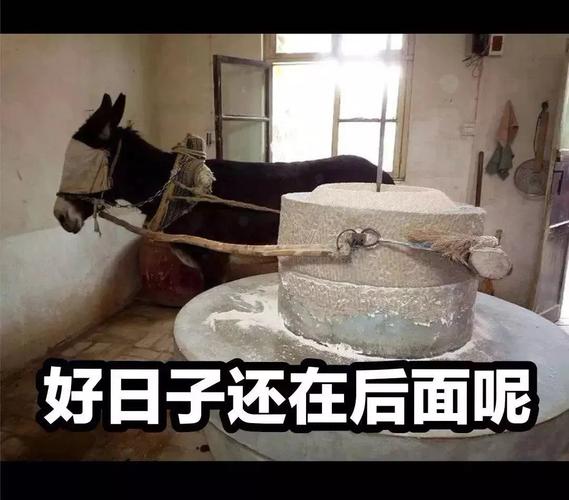 好日子  中文网络风尚图片