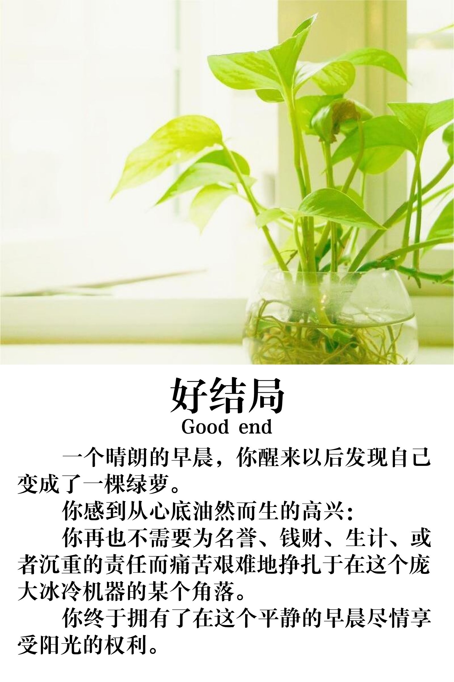 变成绿萝  中文网络风尚图片
