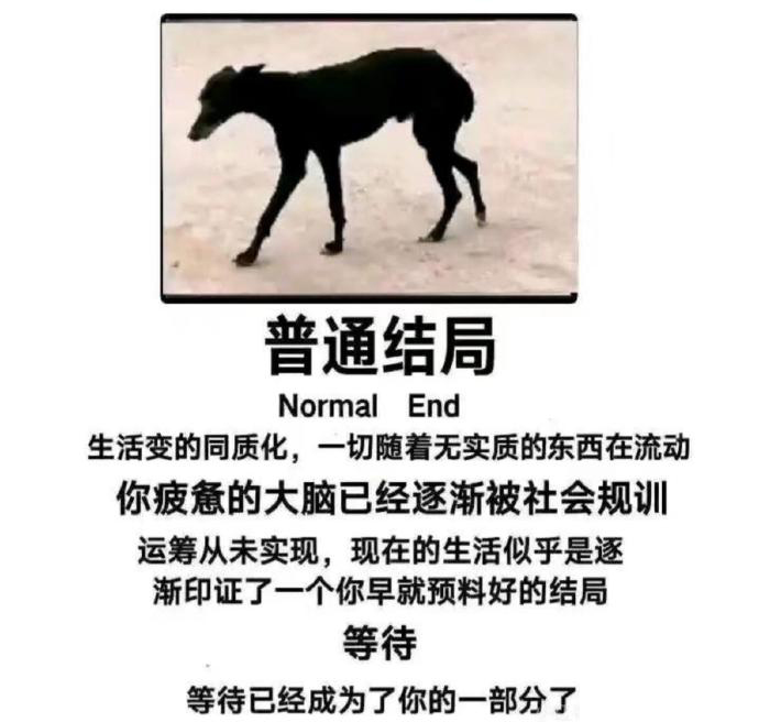 规训  中文网络风尚图片