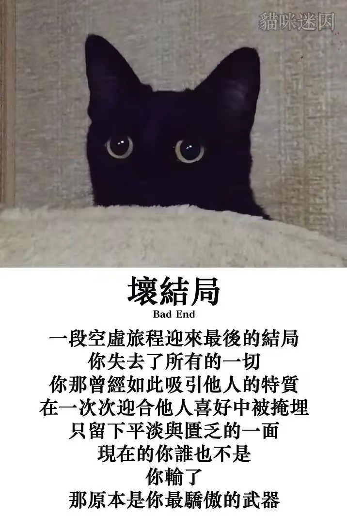 失去一切  中文网络风尚图片