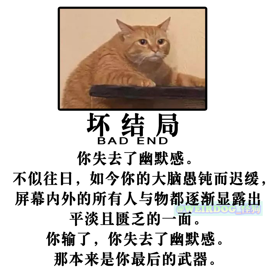 失去幽默感  中文网络风尚图片