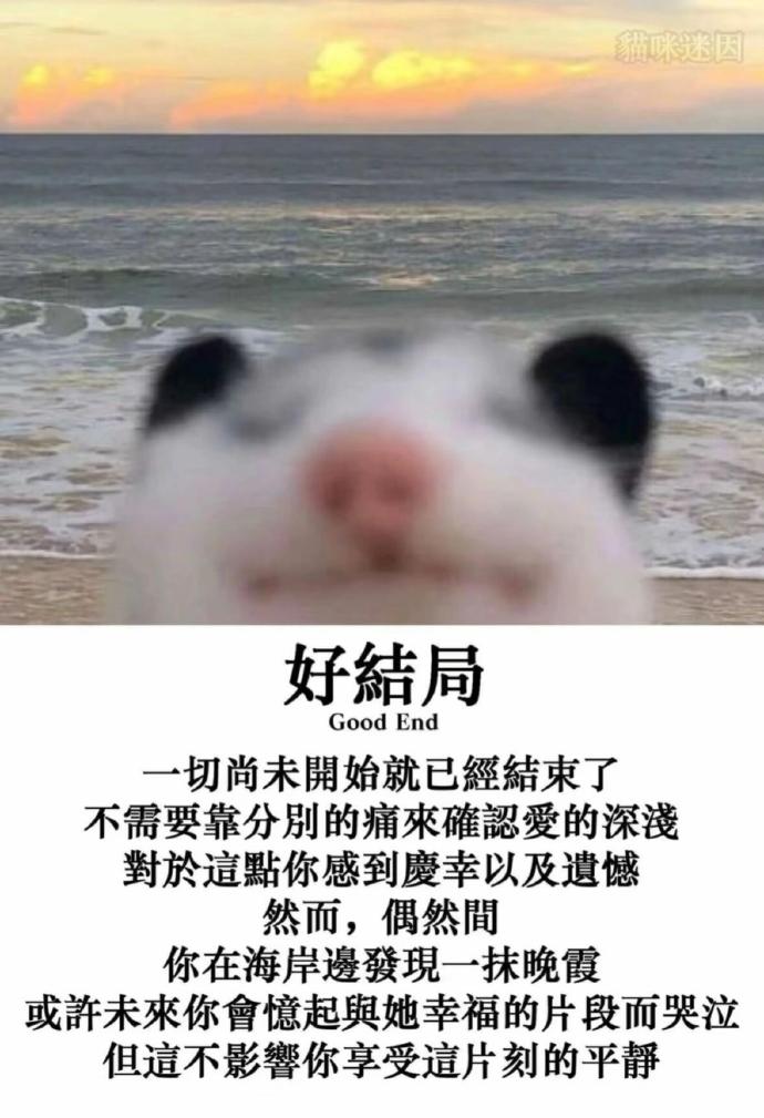 提前结束  中文网络风尚图片