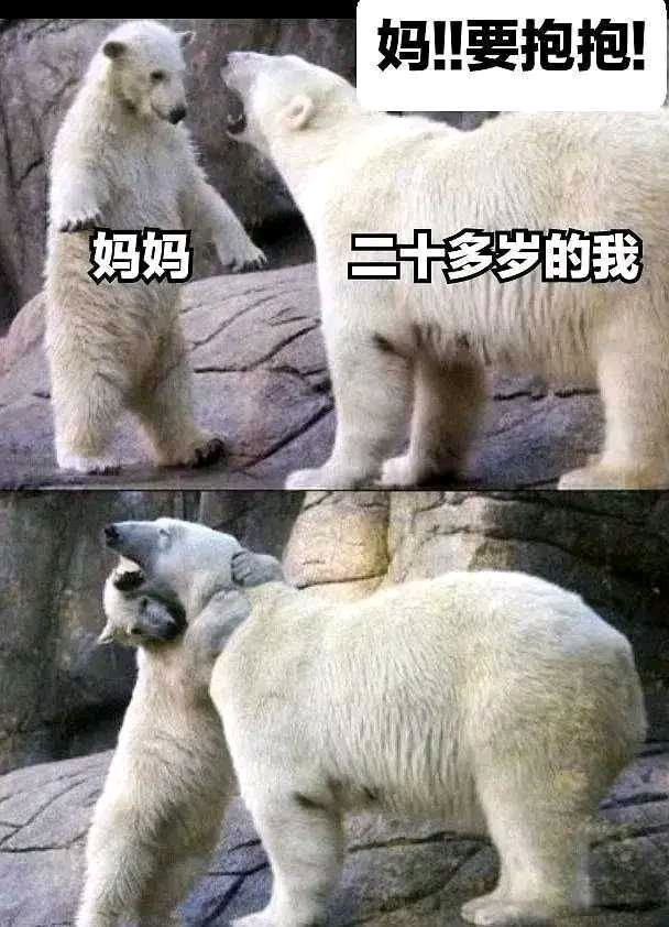 抱抱  中文网络风尚图片