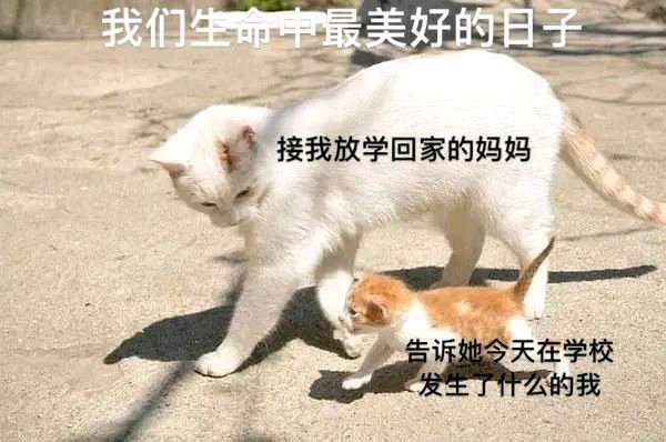 放学回家  中文网络风尚图片