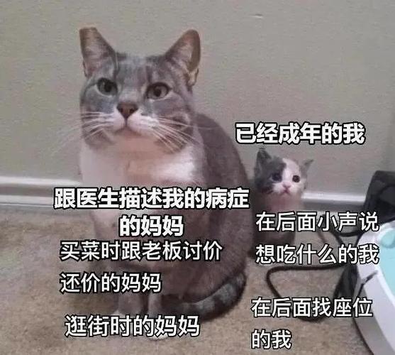 后面  中文网络风尚图片