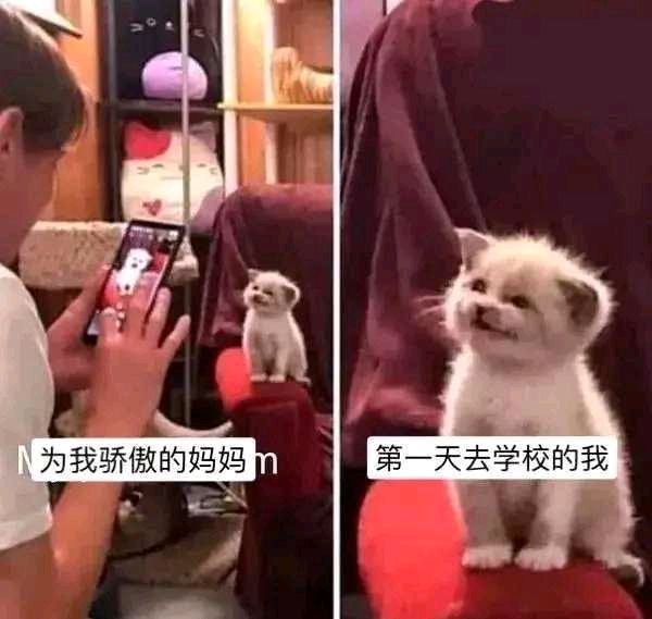 骄傲  中文网络风尚图片