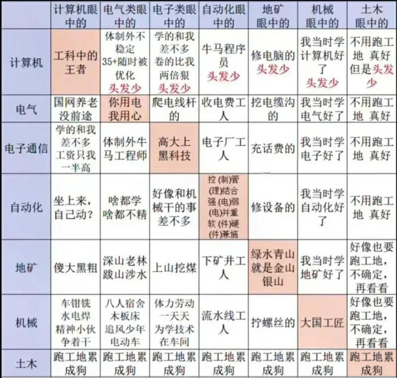 工科专业 计算机电气电子地矿自动化机械土木眼中的 中文网络风尚图片
