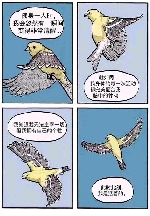 律动  中文网络风尚图片