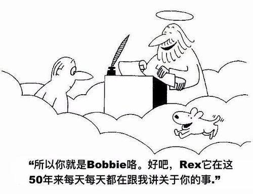 天堂狗狗1  中文网络风尚图片
