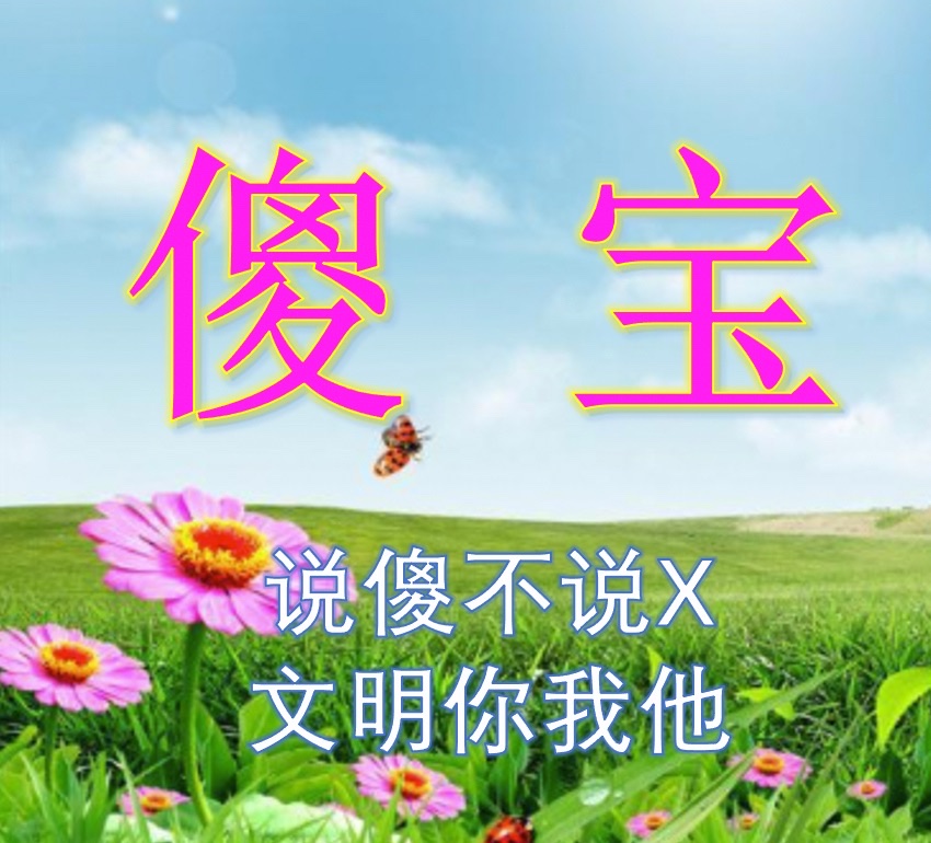 傻宝 贴吧屏蔽词傻逼 中文网络风尚图片